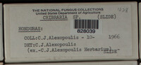 Image Associated With the Occurence